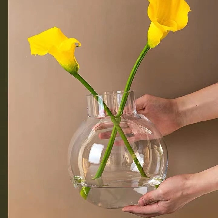 Creative Glass Vase Transparent Hydroponic Flower Dry Flower Vase